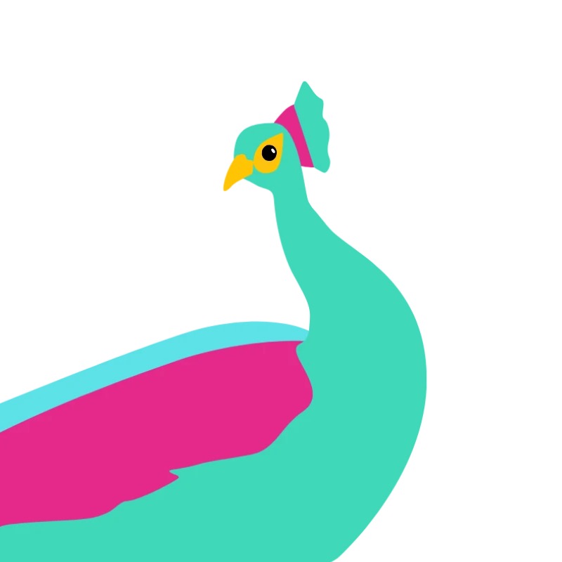 Léon le Paon, mascotte du kit Polychromia : gros plan sur la tête d'un paon turquoise, crête rose vif, œil cerclé de jaune, long cou et poitrail rose